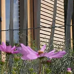 Stylische In Bestlage In Neugebautem Holzhaus Mit Apartman Oberstaufen