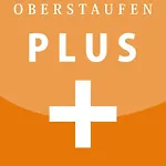 Apartman Stylische In Bestlage In Neugebautem Holzhaus Mit