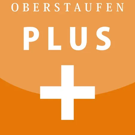 Apartment Stylische In Bestlage In Neugebautem Holzhaus Mit